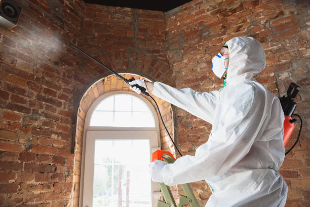 Manor, PA Mold Removal Company